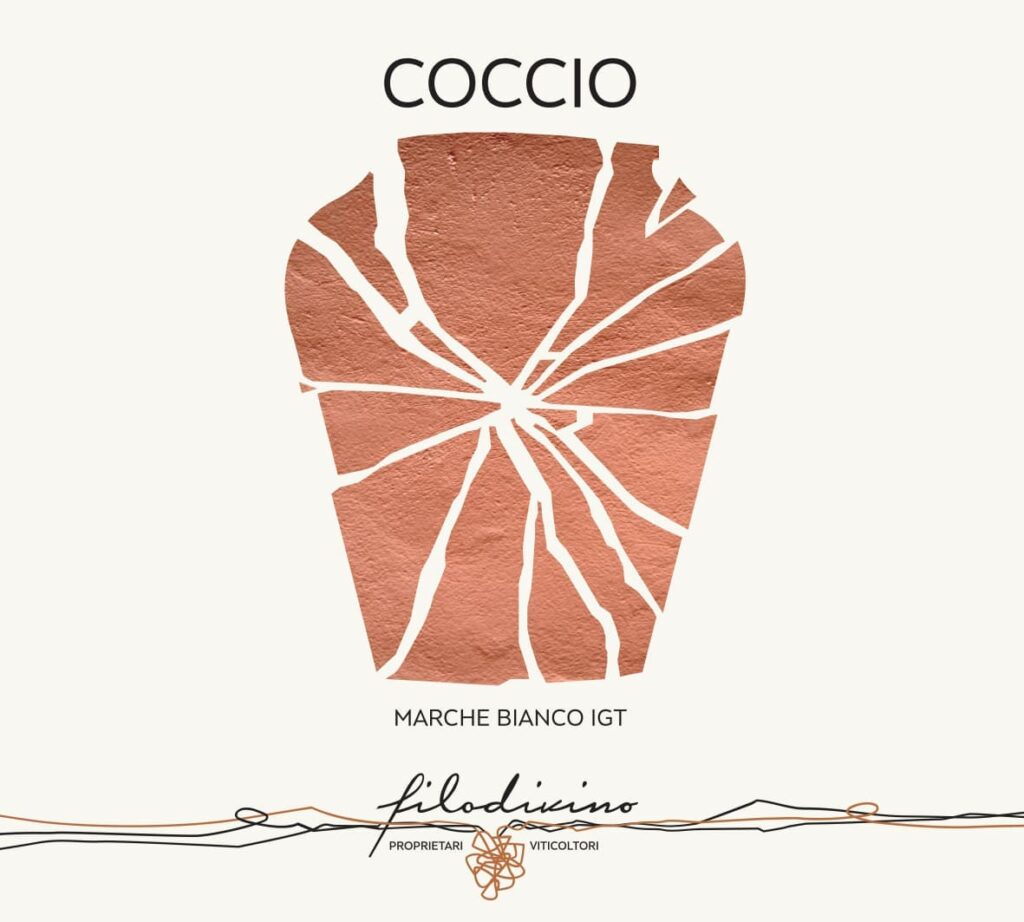 Igt Marche “Orange” wine made in clay amphoras 2019 Organic – Coccio