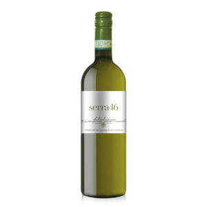 Verdicchio Serra 46 Filodivino