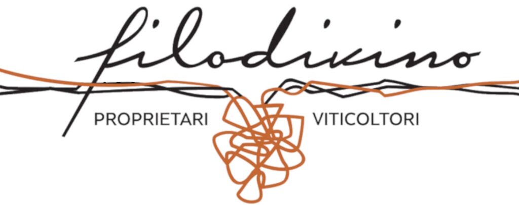 Verdicchio Filodivino tasting - 6 bottles offer